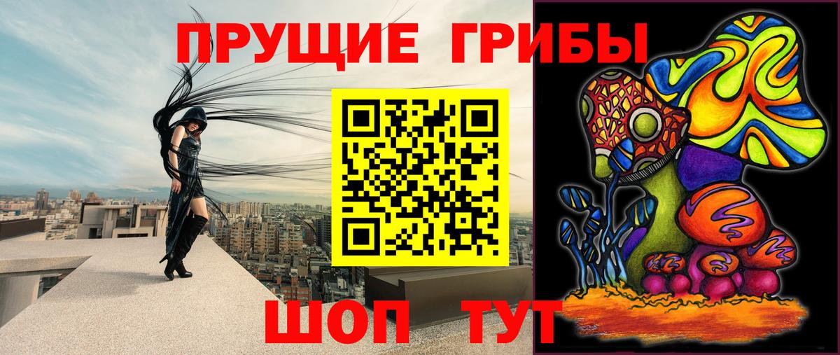 Псилоцибиновые грибы Psilocybine cubensis  Галлюциногенные грибы GOLDEN TEACHER  Вход с VPN  Аша 
