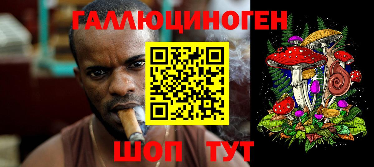 Галлюциногенные грибы прущие грибы Аша